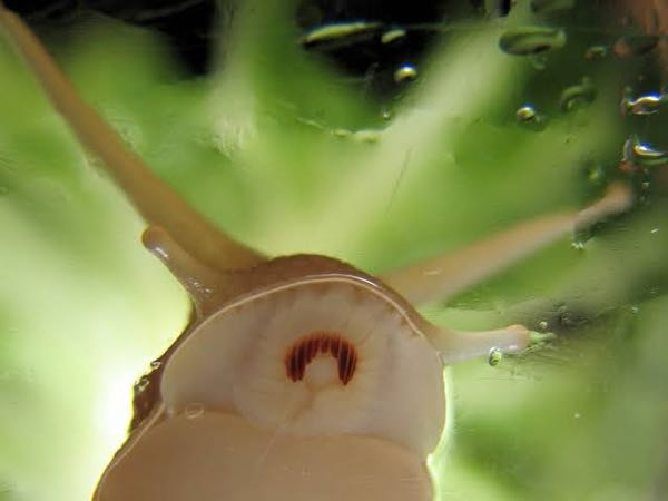 この間 テレビを見ていたら聖教新聞のcmが流れていたんですが Bgm Yahoo 知恵袋