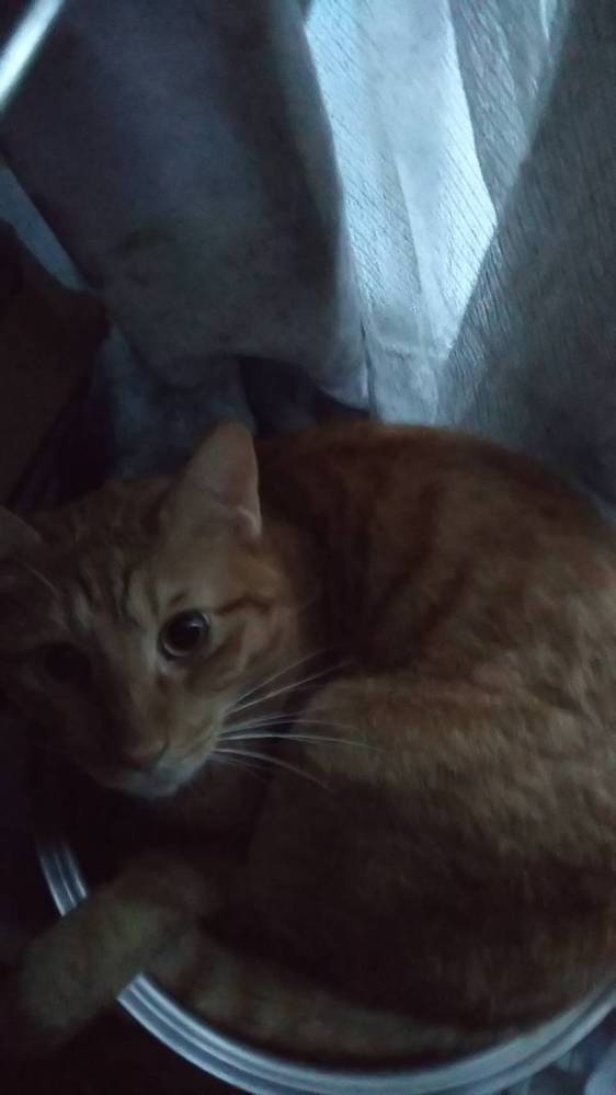 フォートナイトの世界を救えについての質問です アイテムショップ Yahoo 知恵袋