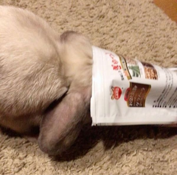 約束のネバーランド実写化見てきました 実写化ってあんなにひど Yahoo 知恵袋