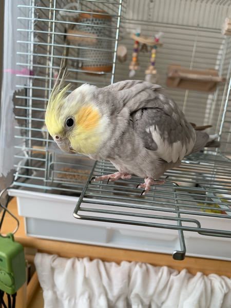 高崎経済大学地域政策学部を志望し 出願したものです 高崎経済大学の評判に Yahoo 知恵袋