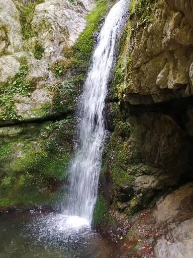 ルカリオにおすすめの技4つ教えてください ダイパリメイク Yahoo 知恵袋