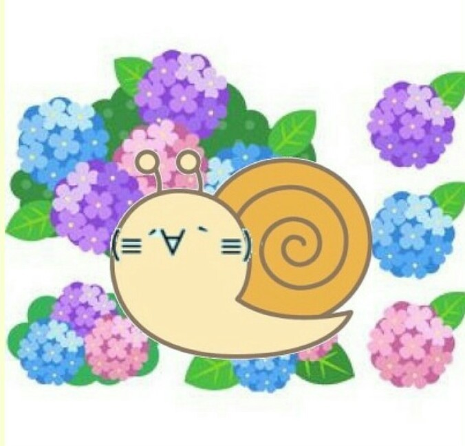 花の名称について今が盛りの花です 私は ゆうぜんかずら と覚えていた Yahoo 知恵袋