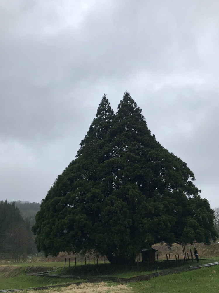 寺山修司 さよならだけが人生だ 寺山修司にとっての最初の名言は 井伏鱒二 Yahoo 知恵袋