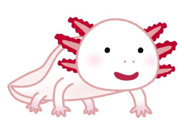 今回のセンター試験の国語 マヂキチだと思いませんか シイゼエボオイ エンド Yahoo 知恵袋