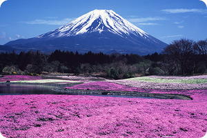 元巨人の定岡正二さんは最近テレビとかも出てないみたいけど現在は何をして Yahoo 知恵袋