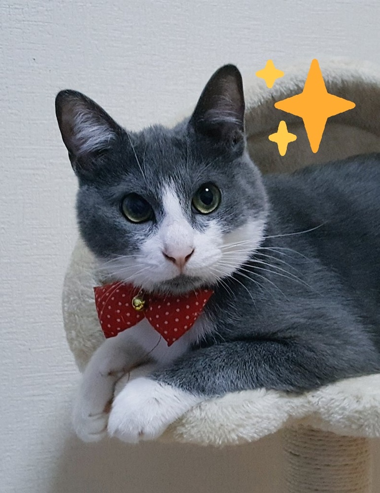 アプリのスライドプリンセスの 真エンディングを見たんです Yahoo 知恵袋