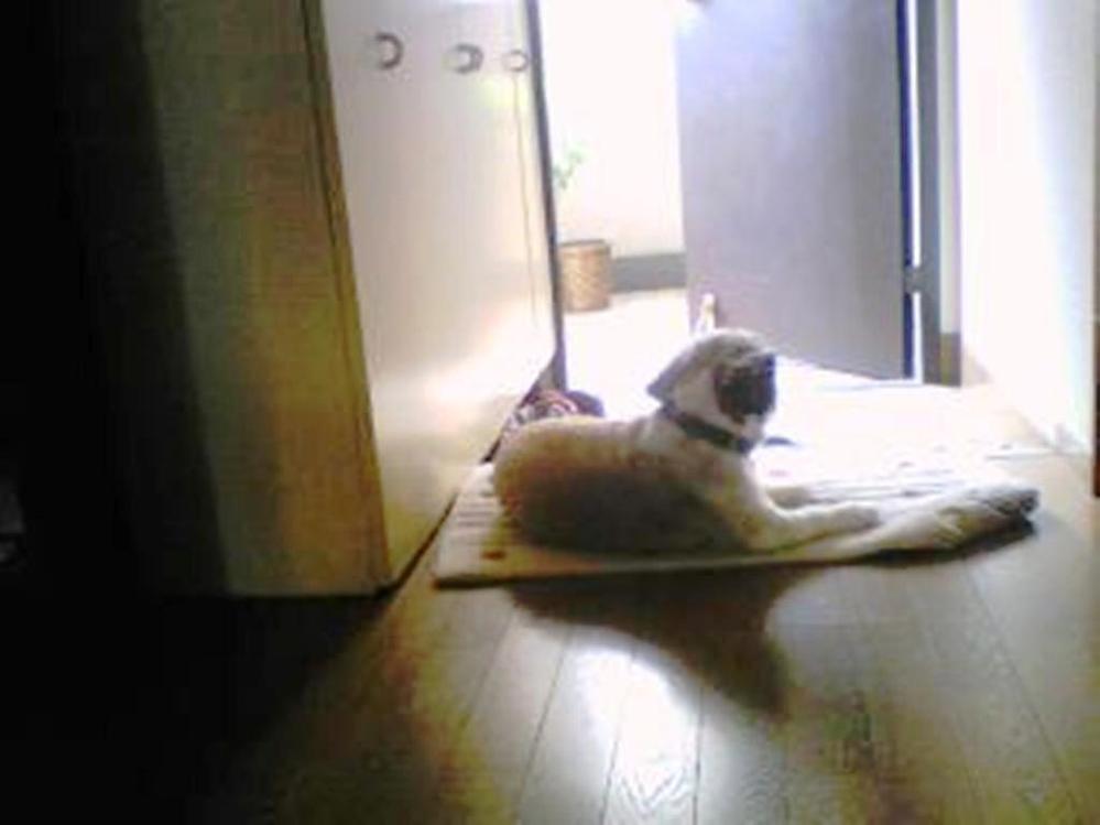 Fate Zeroについて質問です 衛宮切嗣の最終話のセリフに Yahoo 知恵袋