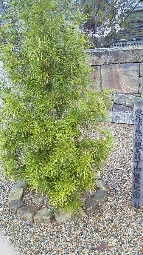 レノファ山口が弱い理由を教えてください 昨シーズン活躍し Yahoo 知恵袋