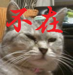 ベンツ小林 今はどうしてますか 最近 見かけたという人いますか 数年前に Yahoo 知恵袋