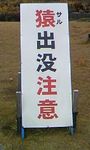 畑山隆則の現役最後の試合（対ジュリアン・ロルシー）のジャッジをどう