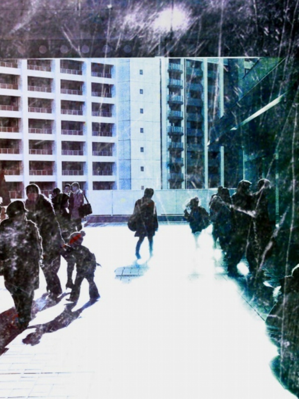 ドストエフスキーの『カラマーゾフの兄弟』は誰の訳が好きですか