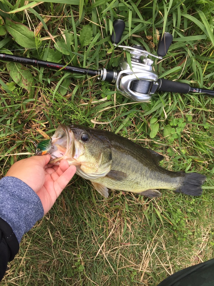 ショアジギングについて質問です 人がそこそこいる場所でシーバ Yahoo 知恵袋