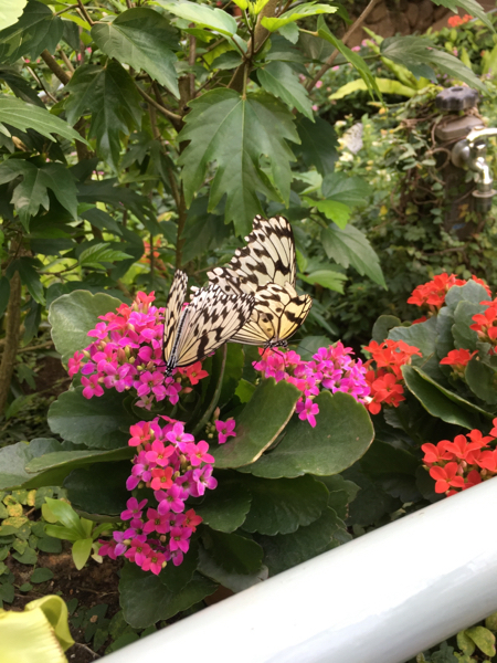 映画人狼ゲームラヴァーズについて ネタバレ含みますなぜ Yahoo 知恵袋