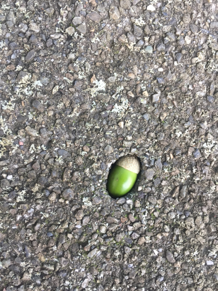 aの西島隆弘さんは何の障害を持ってるんですか くちびるオバ Yahoo 知恵袋