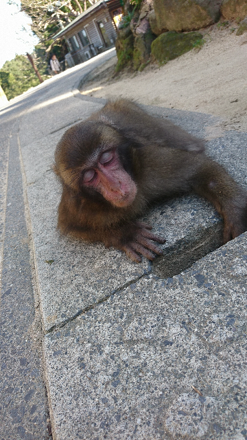 携帯でプリゲット Iget Rak Jpへ空 っていうところから Yahoo 知恵袋