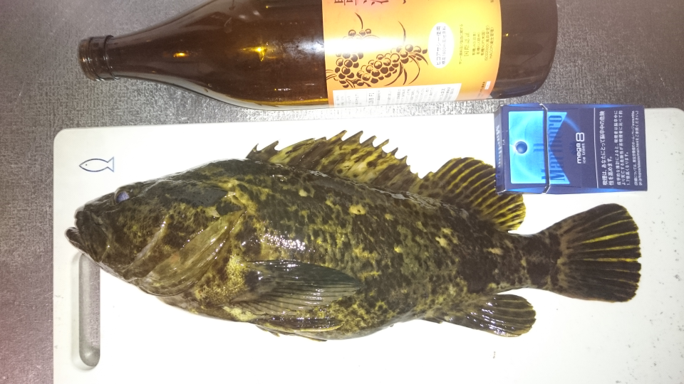 味の素 の集魚効果海釣りに使用する 撒き餌 に使ってみたいです Yahoo 知恵袋