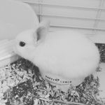 犯人は僕ですというアプリの真犯人が気になります 1周目は Yahoo 知恵袋