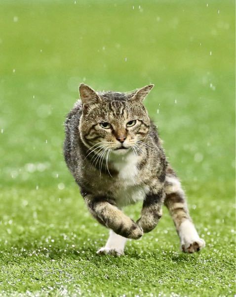 Kunさんの名前を最初につけた人の名前 またはその人の所属クランが分かる方 Yahoo 知恵袋