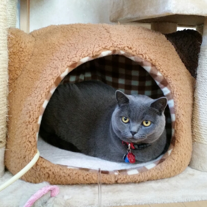 ディズニーランド再入園のさいに手の甲に押される透明なスタンプの正 Yahoo 知恵袋