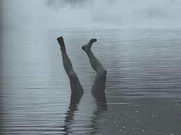 軽自動車を白ナンバーにしてるやつはどういう方々ですか 白ナンバーが Yahoo 知恵袋