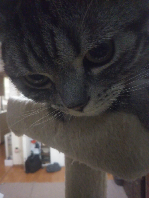 七つの大罪って面白いんですか 漫画買おうか迷っているんですが ネッ Yahoo 知恵袋