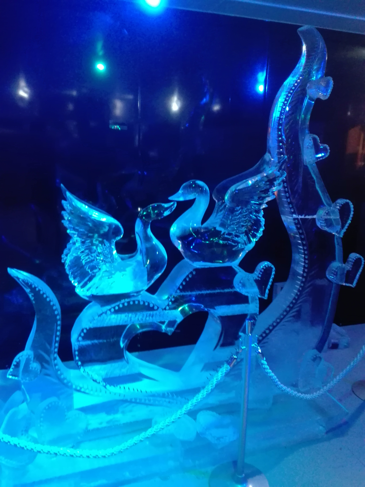 英語の問題です 彼女は何色が好きですか と聞くときwhich Yahoo 知恵袋