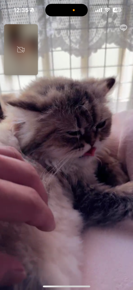 ミラティブ配信のルーレットで王様ゲームをする時のセリフで300 Yahoo 知恵袋