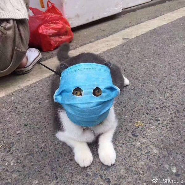 部活に行きたくないです 今日部活ズル休みしました 前の部活は学校を休 Yahoo 知恵袋