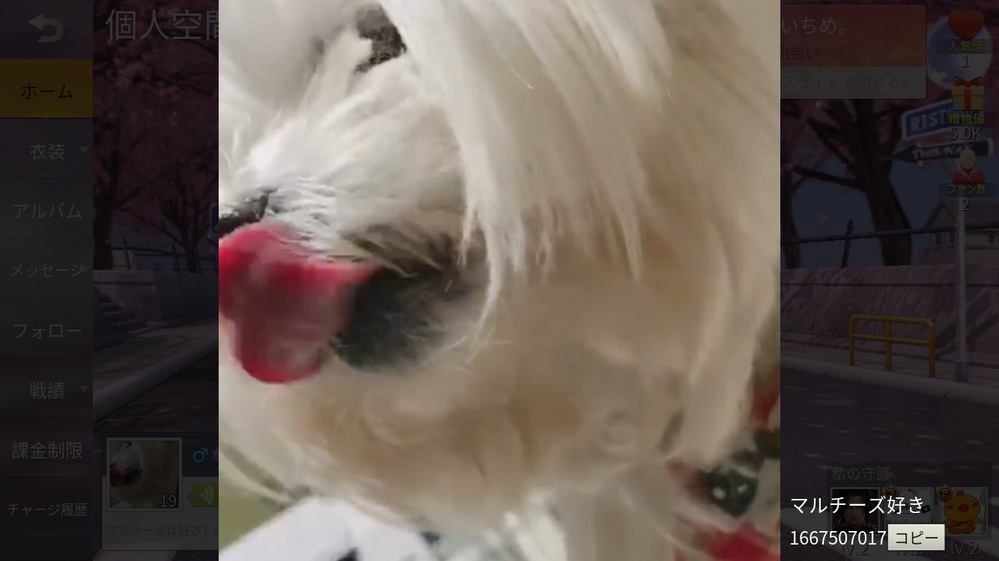 スマブラswitchアドベンチャーモードのかっぺいのステージ開始5秒で強風に流 Yahoo 知恵袋