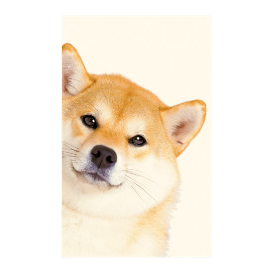 大喜利がうまくなりたいです なんかコツとか練習方法とかあるん Yahoo 知恵袋