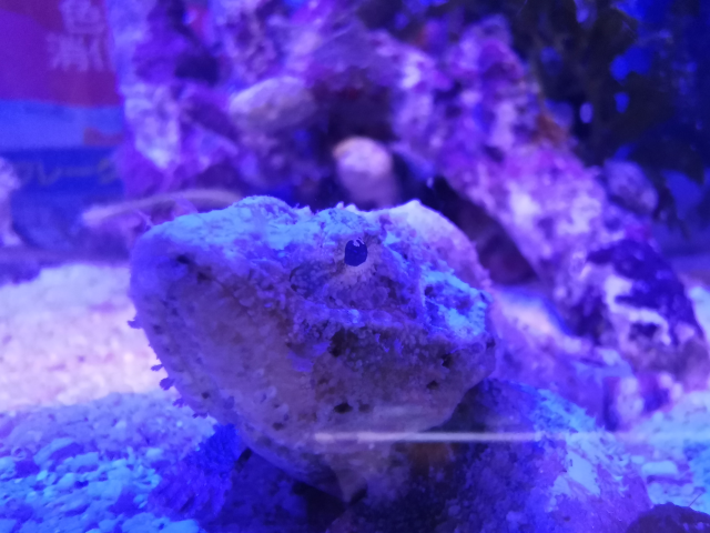 Xi 5様 お詳しいとお聞きしましたので 指名させて 再投稿させて頂きます Yahoo 知恵袋