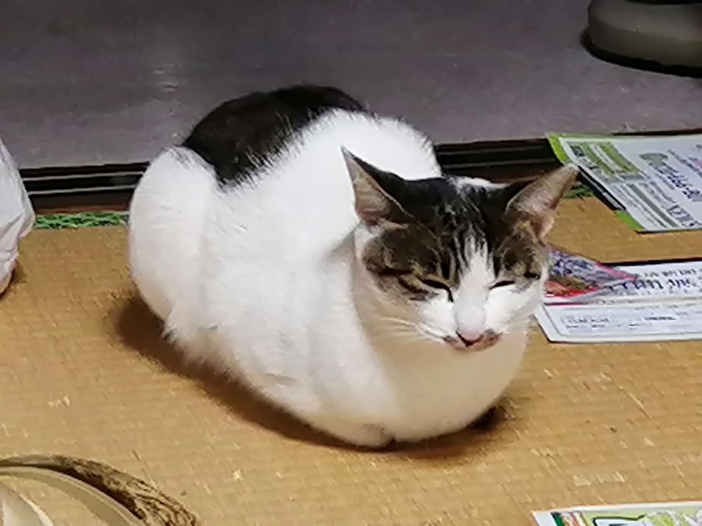 鼻くそ食べるやつってなんなん 何かね 鼻くそ食べると免疫力が上がるって Yahoo 知恵袋