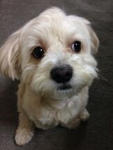 休日になると何もやる気がしなくなります うつでしょうか 平日は仕事がハー Yahoo 知恵袋