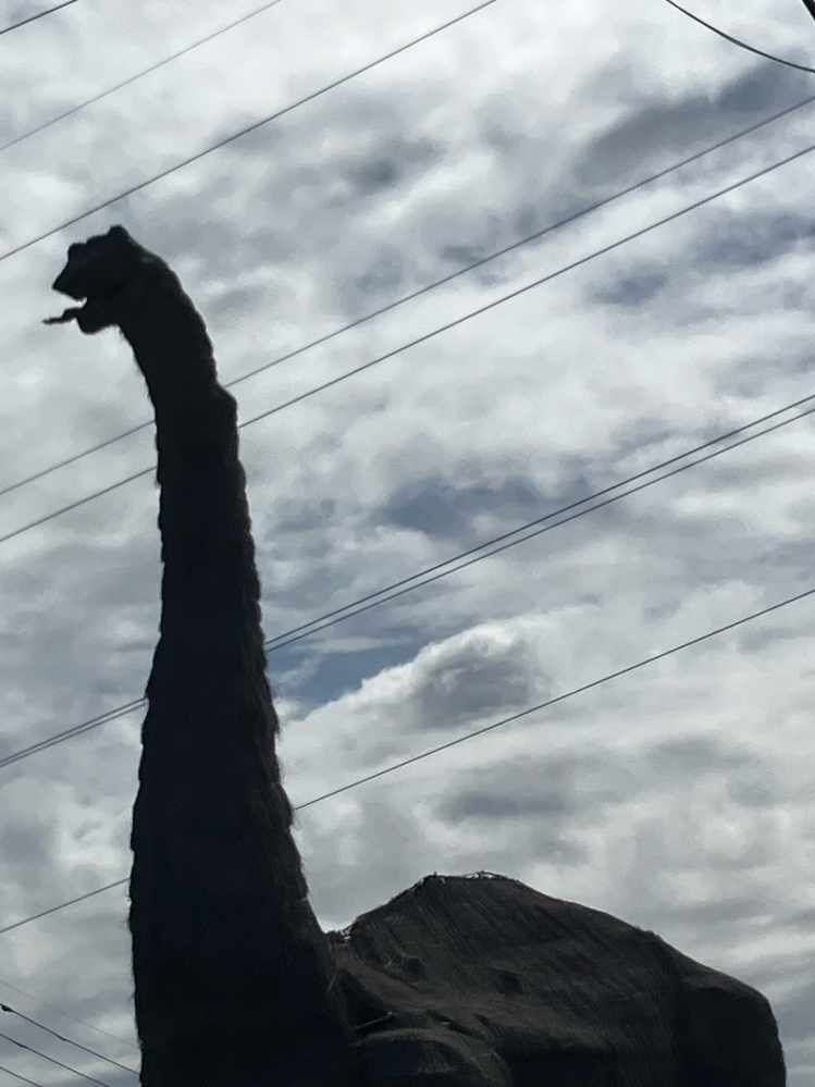 メルカリで残念評価がひとつ付いてしまいました。これからあと100件