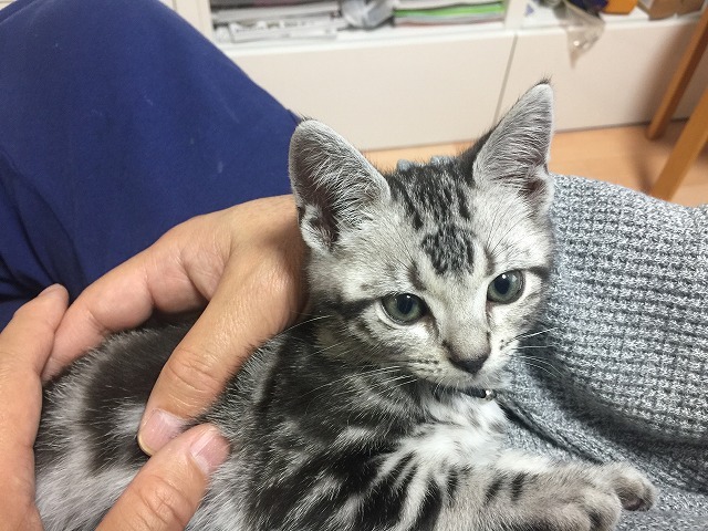 ツムツムランドで フレンド承認希望の人がたくさん来ています ど Yahoo 知恵袋