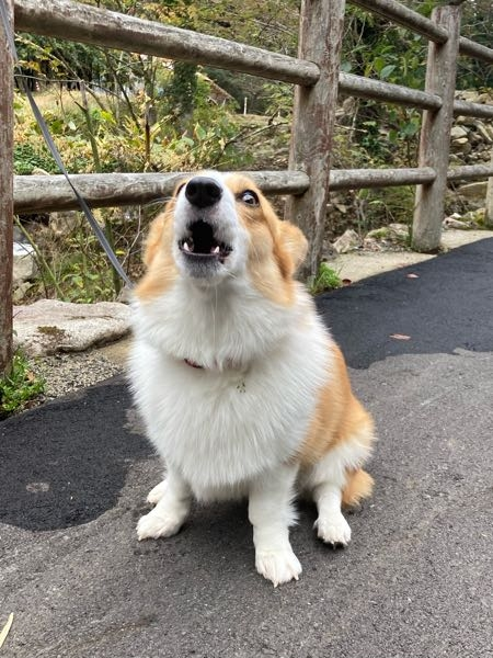 ロレックスの時計なのですが この時計の品番 商品名 が分かる方は教えていただ Yahoo 知恵袋