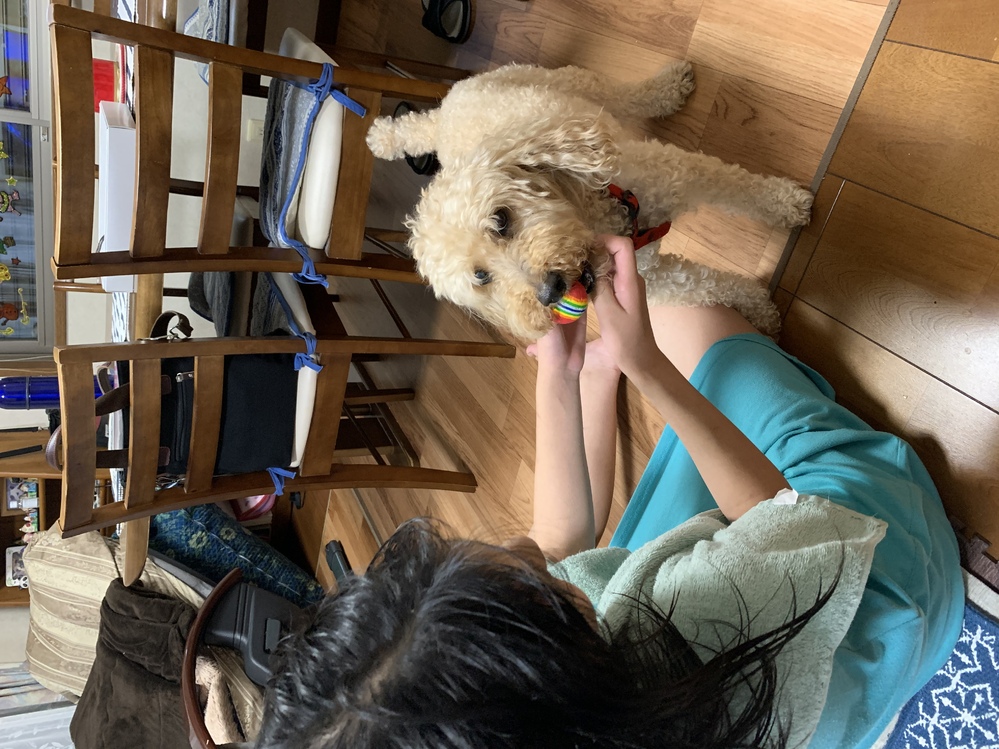 今年小学生になる娘の名前がなごみと言います 学校で男の子たちにからかわ Yahoo 知恵袋