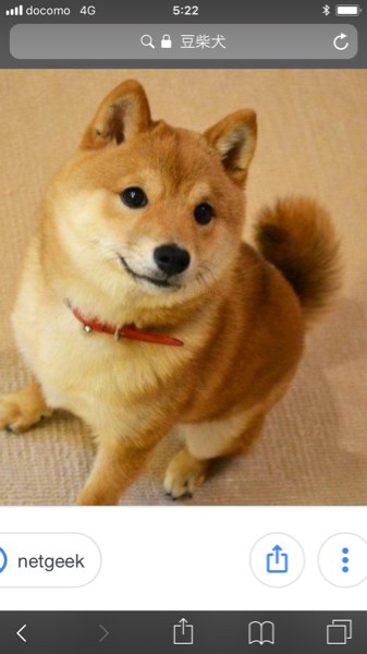 輪島が花田光司 貴乃花 の実父だという噂は 顔がそっくりなの Yahoo 知恵袋