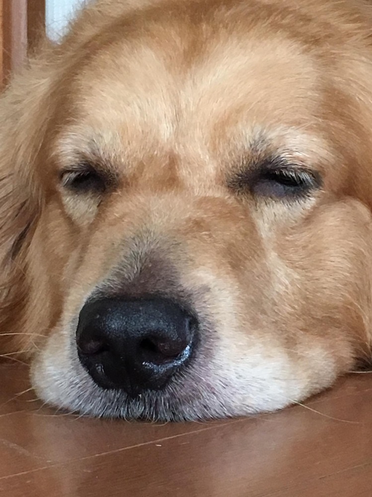 Bigbangのくまのキャラクターの名前はなんですか Krunkク Yahoo 知恵袋