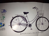 自転車に乗れません どうしたら上手くなりますか もうすぐ中学生 Yahoo 知恵袋