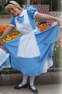 ディズニーランドでのコスプレはハロウィン以外はいけないのですか ディ Yahoo 知恵袋