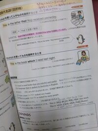 中学英語関係代名詞関係代名詞の目的格にwhoは使えませんよね 私は Yahoo 知恵袋