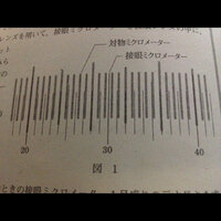 生物の問題です すみませんが教えて下さい タマネギの片鱗葉の Yahoo 知恵袋