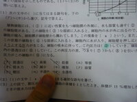 2dm6yvskvt8lrm