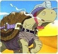 ワンピースの漫画で尾田さんのミスを指摘し合いましょう例アラバ Yahoo 知恵袋