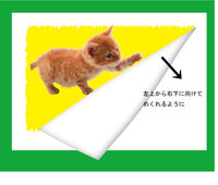イラストレーターcs2 フォトショップcs2で布の質感をだし Yahoo 知恵袋