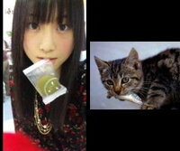 お菓子をくわえた松井玲奈とお魚くわえた猫さんは どっちが可愛いですか Yahoo 知恵袋