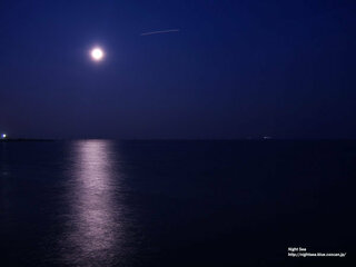 夜の海面に月の光が映って道のように見える様に呼び名があるらしいのですが Yahoo 知恵袋