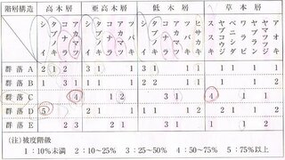 高校生物 陽樹林 陰樹林 陽樹と陰樹の混合体の判別方法 Yahoo 知恵袋