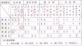 高校生物 陽樹林 陰樹林 陽樹と陰樹の混合体の判別方法 Yahoo 知恵袋